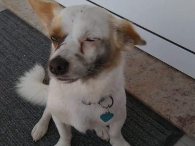 este es el segundo anuncio paquete silver